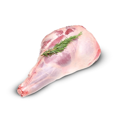 LAMB LEG BONE IN
